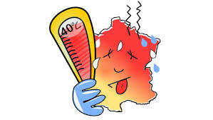 En raison de la canicule ...