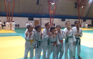 Championnat régional qualificatif FSGT à Toulouse novembre 2014