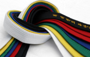 Possibilité de passer les grades (ceinture noire) ...