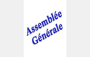 Assemblée Générale du 28 août 2015