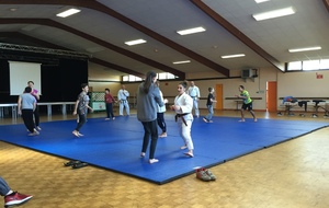 Stage d'initiation judo avec la CDC porte de l'entre deux mers