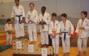 1er tournoi judo FSGT BX-METROPOLE du 21 mai 2016 