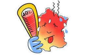 En raison de la canicule ...