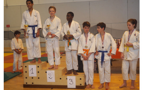 1er tournoi judo FSGT BX-METROPOLE du 21 mai 2016 